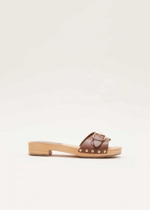 Brown Phase Eight Buckle Front Flats | 4506QKJUI