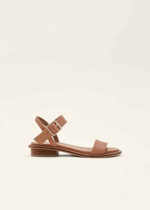 Brown Phase Eight Flat Buckle Flats | 4809JAYVG