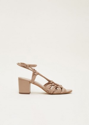 Brown Phase Eight Leather Strap Heels | 6573BOXVR