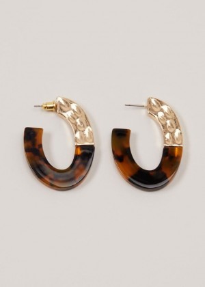 Brown Phase Eight Tortoiseshell Hoop Jewellery | 9104GORDY