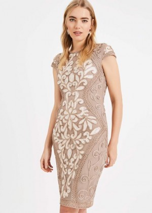 Cream Phase Eight Perdy Tapework Lace Dress | 2138PBRQS