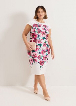 Multicolor Phase Eight Dannas Scuba Dress | 6749TNSPI