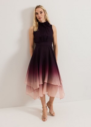 Multicolor Phase Eight Maybel Ombre Dress | 6410LZVEP