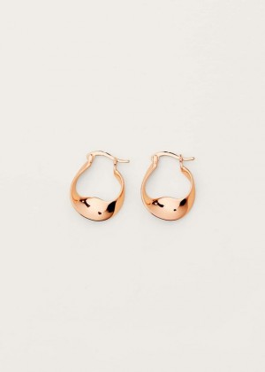 Rose / Gold Phase Eight Twist Hoop Jewellery | 3025GWVXF