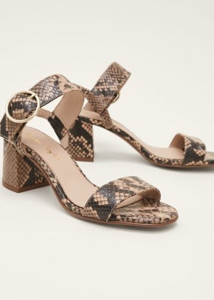 Snake Phase Eight Snake Skin Leather Buckle Heels | 4239ESLFB