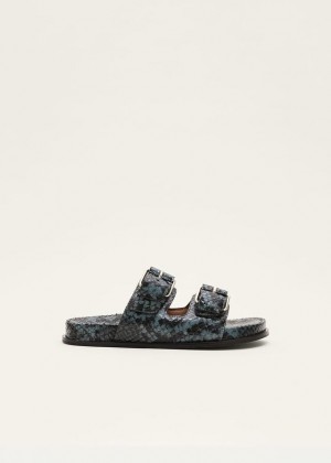 Turquoise Phase Eight Animal Double Buckle Flats | 7190WHFKS