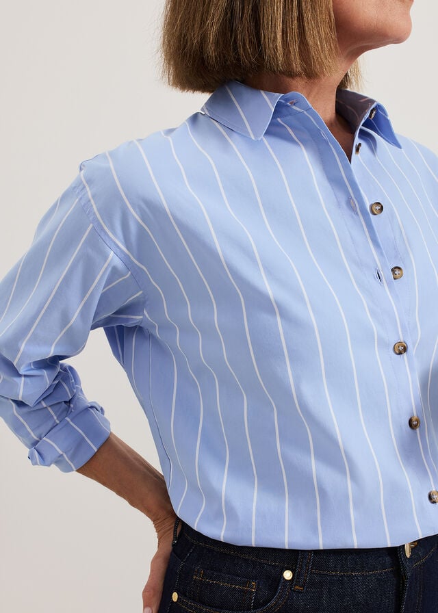 Blue Phase Eight Stripe Shirts | 4205DVTQG