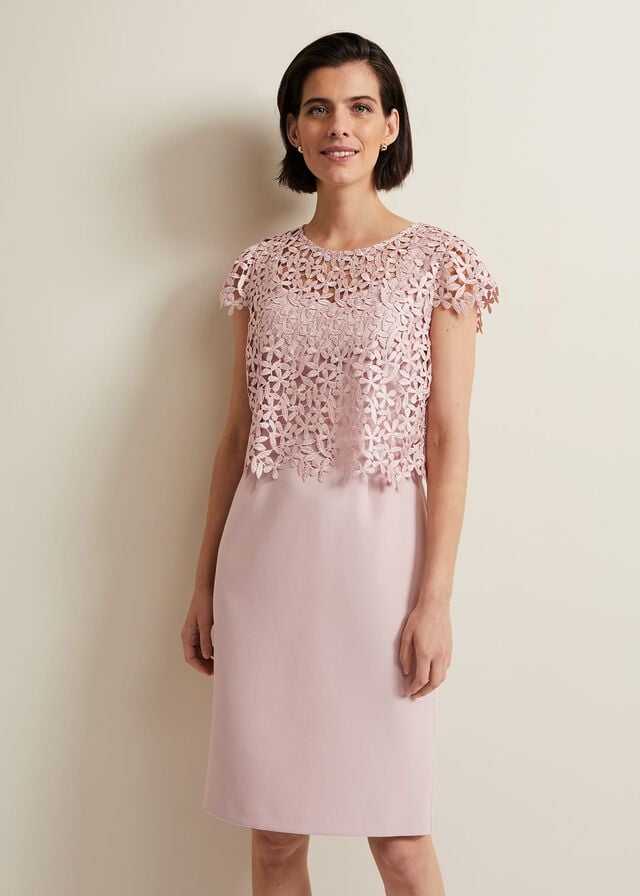 Pink Phase Eight Daisy Lace Dress | 5941RXKWZ