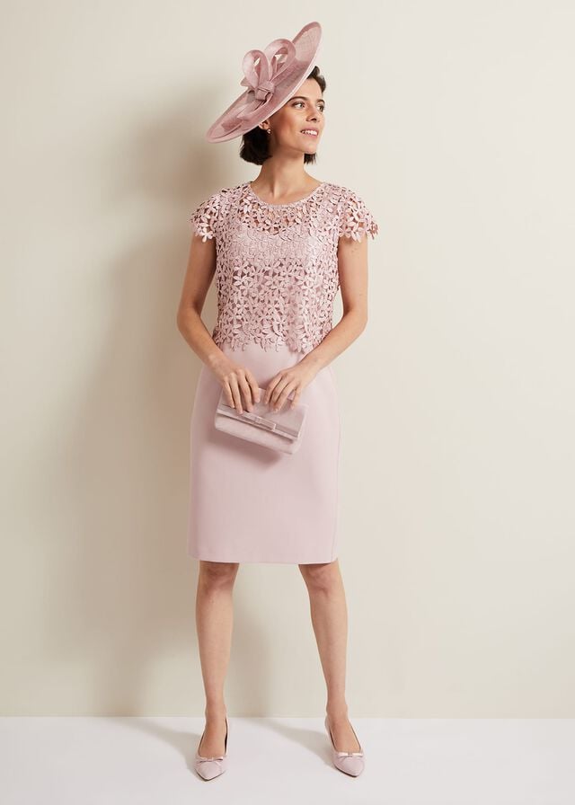 Pink Phase Eight Daisy Lace Dress | 5941RXKWZ