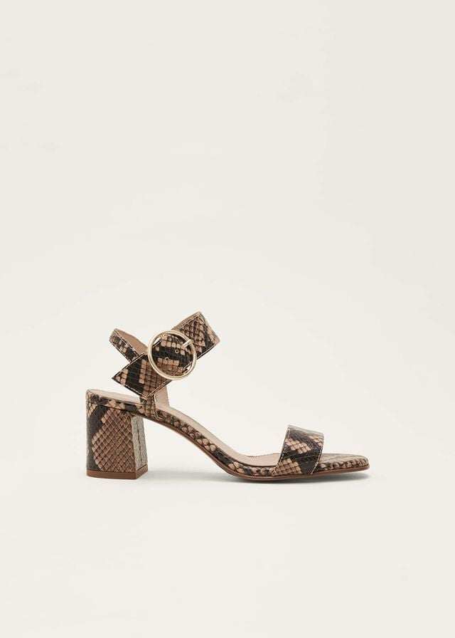 Snake Phase Eight Snake Skin Leather Buckle Heels | 4239ESLFB