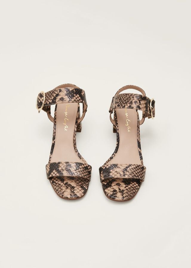 Snake Phase Eight Snake Skin Leather Buckle Heels | 4239ESLFB